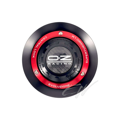 KIT CONVERSIONE MONODADO OZ RACING CENTRAL LOCK M683 81210379