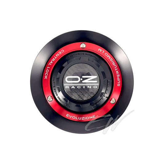 KIT CONVERSIONE MONODADO OZ RACING CENTRAL LOCK M683 81210379